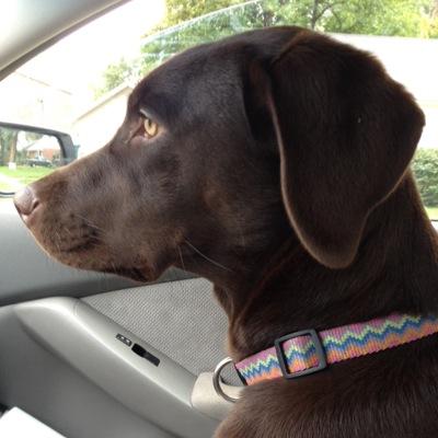 Profile Picture of Jeff Goff (@jeffgoff80) on Twitter