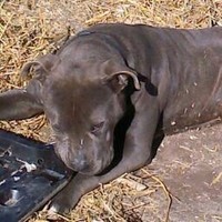 Profile Picture of Quentin Adkins (@quentin-adkins) on Quora