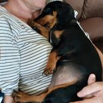 Profile Picture of Brett Beechey (@brettbeechey) on Instagram