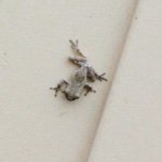 Profile Picture of David Angevine (@dorkydavid) on Instagram