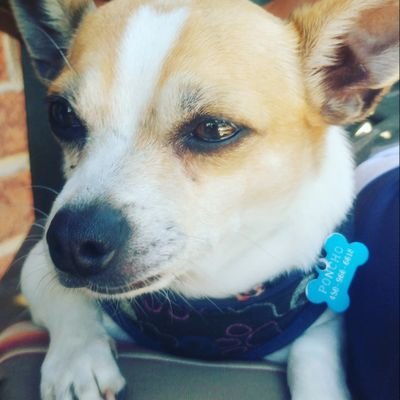 Profile Picture of James Fradette (@FradetteJames) on Twitter