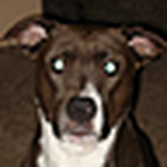 Profile Picture of Kimberly Hansen (@mama's family) on Flickr