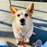 Profile Picture of Jane Brett (@jane.brett.75) on Instagram