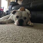 Hunter Howell - Instagram Profile Picture of Hunter Howell (@hunter_howell_2407) on Instagram