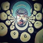 Profile Picture of Bryan Meeks (@tinyplanetlife) on Instagram