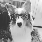 Profile Picture of Rob To Heirloom (@rob.walktoheirloom.3) on Facebook