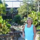 Profile Picture of Barbara Lafferty (@barblaf12) on Pinterest