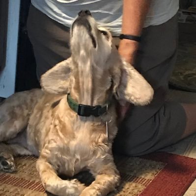 Profile Picture of Jerome Byrne (@JeromeByrne2) on Twitter