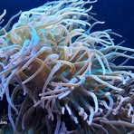 Profile Picture of Maria Wagner (@Maria-Wagner) on Facebook