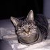 Profile Picture of Fritz Fenzel (@fritz.fenzel) on Facebook
