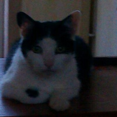 Profile Picture of Brian Stansfield (@GmaiBrian) on Twitter