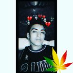 Profile Picture of Alex Rogel (@rogel.alex) on Instagram