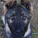 Profile Picture of Mark Becerra (@becerra6237) on Pinterest