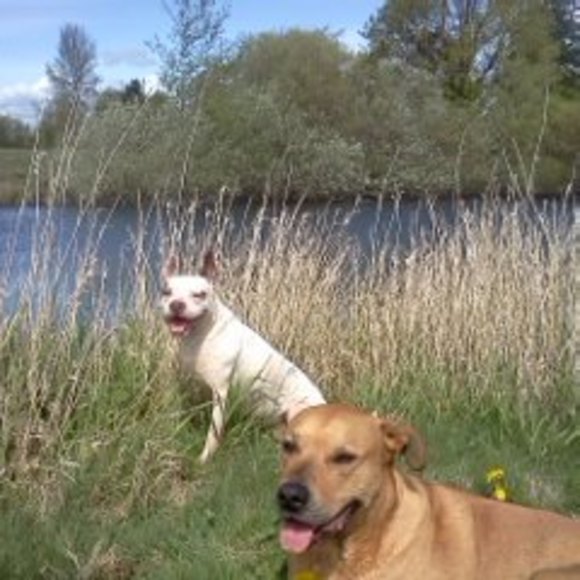 Profile Picture of Mark Hubbard (@hubbm8) on Poshmark