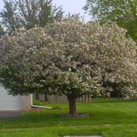 Profile Picture of Mark Vandeusen (@mark-vandeusen-1) on Quora