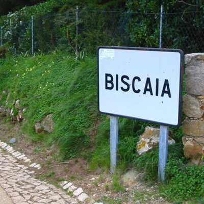 Profile Picture of António Biscaia (@AntonioBiscaia) on Twitter