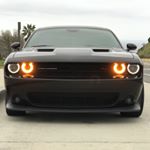 Profile Picture of Bryan Ałvídręz (@lastfix) on Instagram