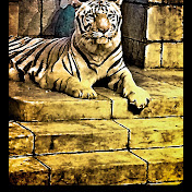 Profile Picture of Luis James (@luisjames1119) on Youtube