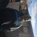 Profile Picture of Robin Oates (@robin.oates.315) on Facebook