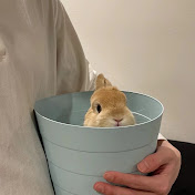 Profile Picture of Bernice Leung (@berniceleuung) on Youtube