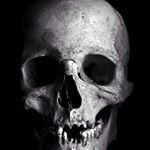 Profile Picture of Travis Fabian (@travis666453) on Instagram