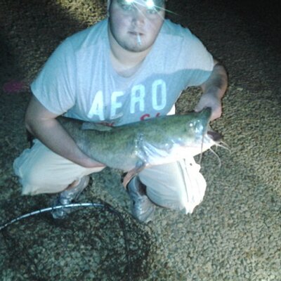 Profile Picture of Nick Fee (@fee_nick) on Twitter