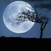 Profile Picture of Cesar Borrayo (@cesar.borrayo.754) on Facebook