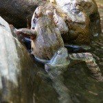 Profile Picture of Matthew Dabney (@prowsecl) on Instagram