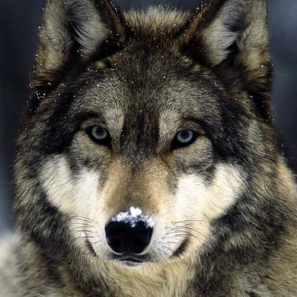 Profile Picture of Andrew Gutierrez (@andrew_1992) on Poshmark