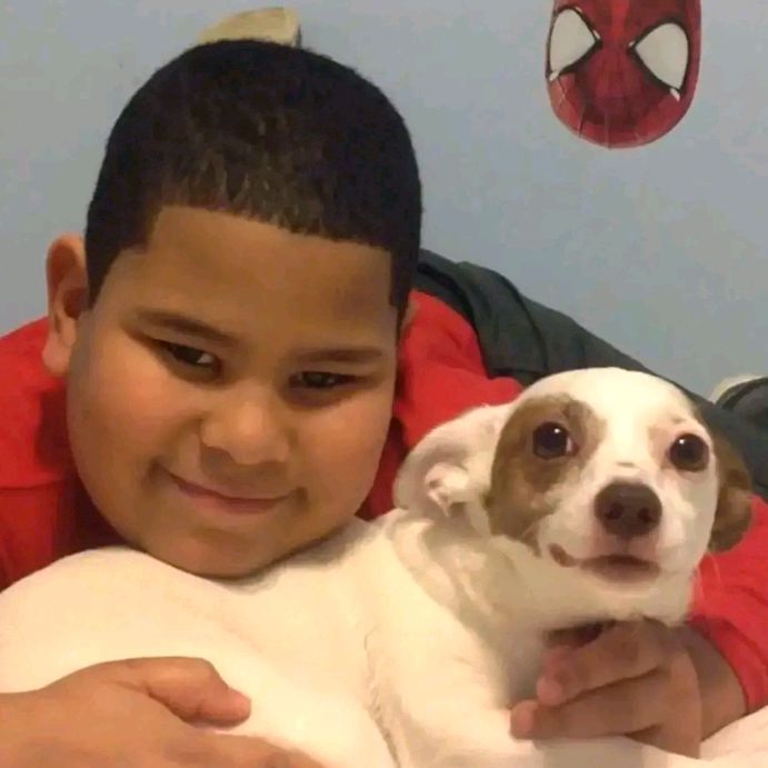 Profile Picture of hi (@erikbohland11) on Tiktok