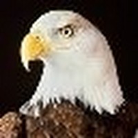 Profile Picture of Andrew Leo (@andrew-leo-5) on Quora