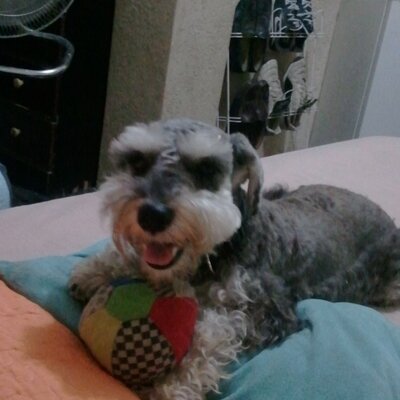 Profile Picture of Ronald Toledo (@ronaldtoledo73) on Twitter