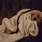 Profile Picture of Terry Waugh (@terrywaugh9876) on Instagram