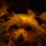 Profile Picture of Michael F. Jackowski (@mfjackowski) on Facebook