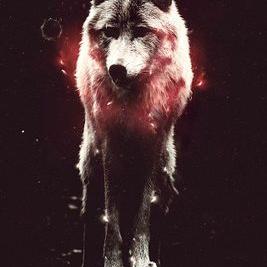 Profile Picture of Tyler Minton (@KiritoHDGaming) on Twitter