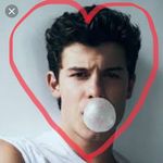 Profile Picture of Meredith Bean (@shawn_mendes_fan_account057) on Instagram