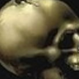 Profile Picture of VANANDEL JOHN (@751gvanan) on Twitter