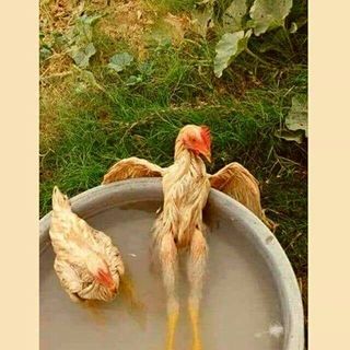 Profile Picture of Jeremia Acuña (@jeremia.acuna.3) on Facebook