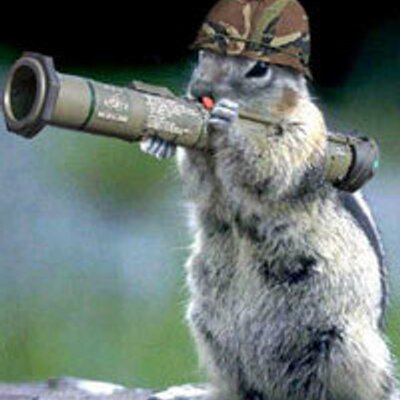 Profile Picture of Chuck Crane (@inthebush) on Twitter