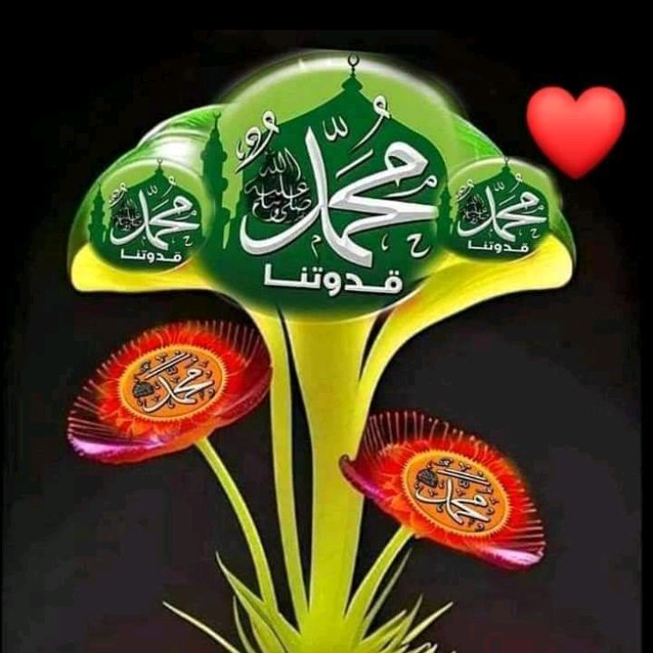 Profile Picture of Sana Choudary (@user934201707) on Tiktok