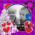 Profile Picture of Carolyn Dudley (@carolyn.dudley.3386) on Facebook