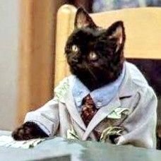 Profile Picture of Mocteur Dailloux (@chagnon_alex) on Twitter