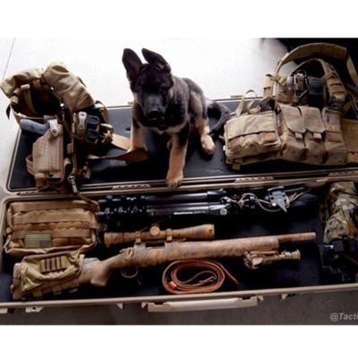 Profile Picture of David Delvecchio (@Delvecchio7755) on Twitter