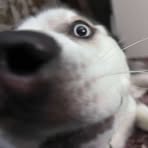 Profile Picture of Bobbie Wheaton (@bobbie.wheaton.2025) on Facebook