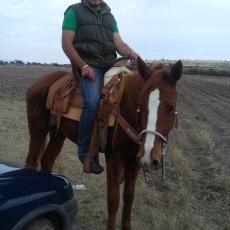 Profile Picture of Martin Obed Calzada (@CalzadaObed) on Twitter