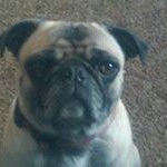 Profile Picture of Harold Muller (@mullerharold) on Instagram