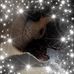 Profile Picture of June Connor (@june.connor.121) on Facebook