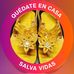 Profile Picture of Mojica Anibal (@anibal.mojica.12) on Facebook