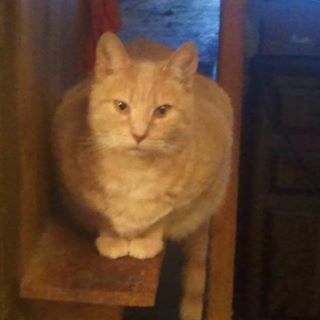 Profile Picture of Rusty Connelly (@Rusty-Connelly) on Facebook