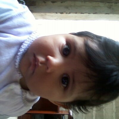 Profile Picture of Alex Miele (@alexmiele1) on Twitter